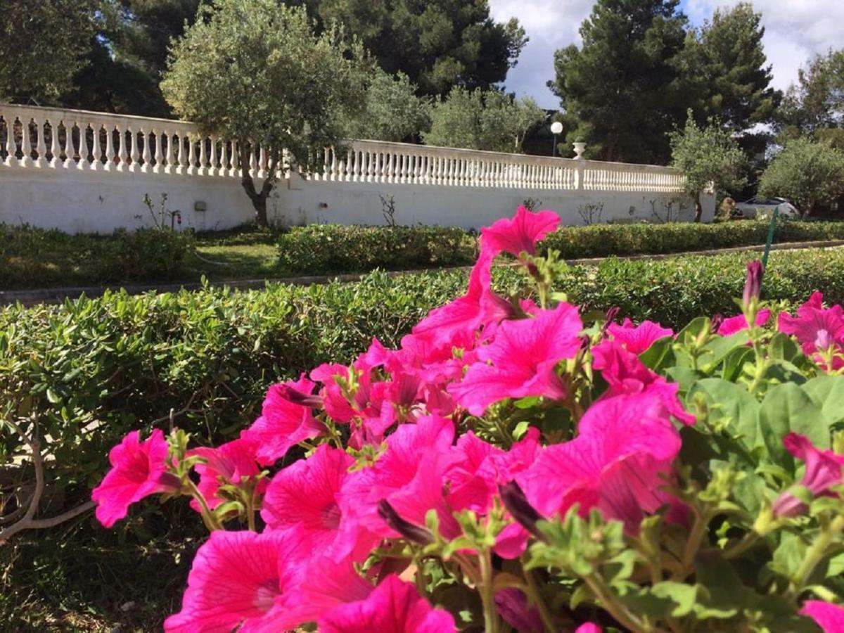 Villa Nunziatella Badia Trappeto  Exteriér fotografie